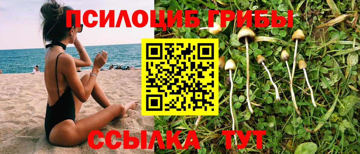 Заводоуковск  Галлюциногенные грибы ЛСД  Вход с VPN 