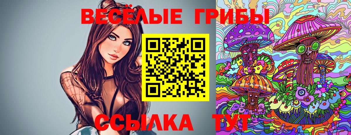 Галлюциногенные грибы Magic Shrooms Заводоуковск